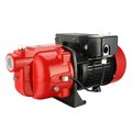 Projex 3/4 HP 2 wire 760 gph Cast Iron Shallow Well Pump ATS-07P